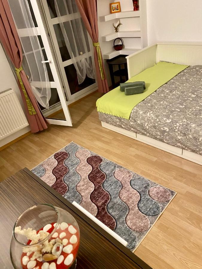 Apartament Raluca - Self Check-In Temešvár Exteriér fotografie